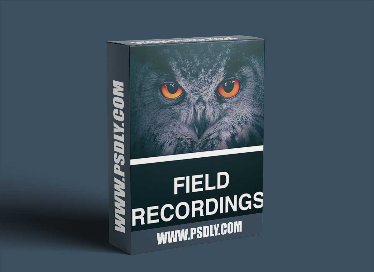 Whitenoise Records Field Recordings WAV-RYZEN