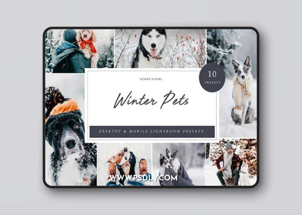 10 x Lightroom Presets, Winter Pets Presets AZYQWQ2