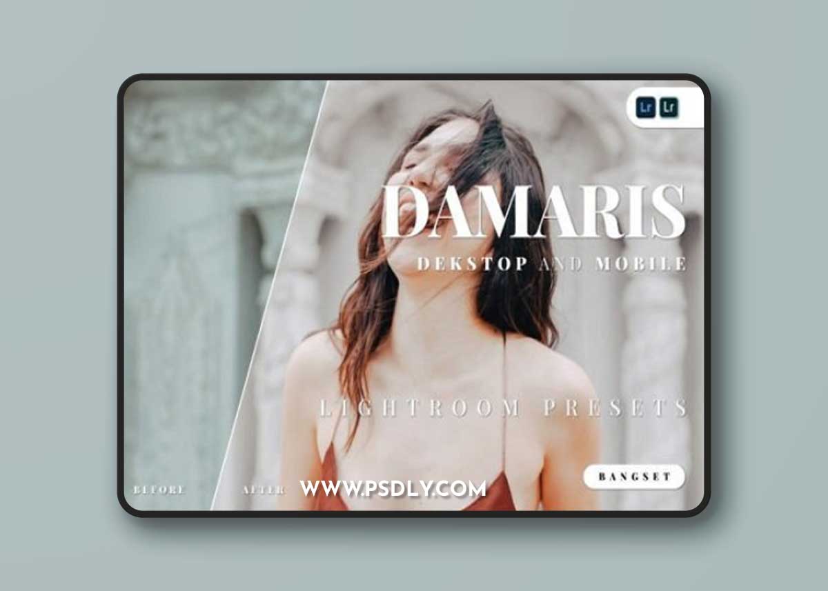 Damaris Lightroom Presets