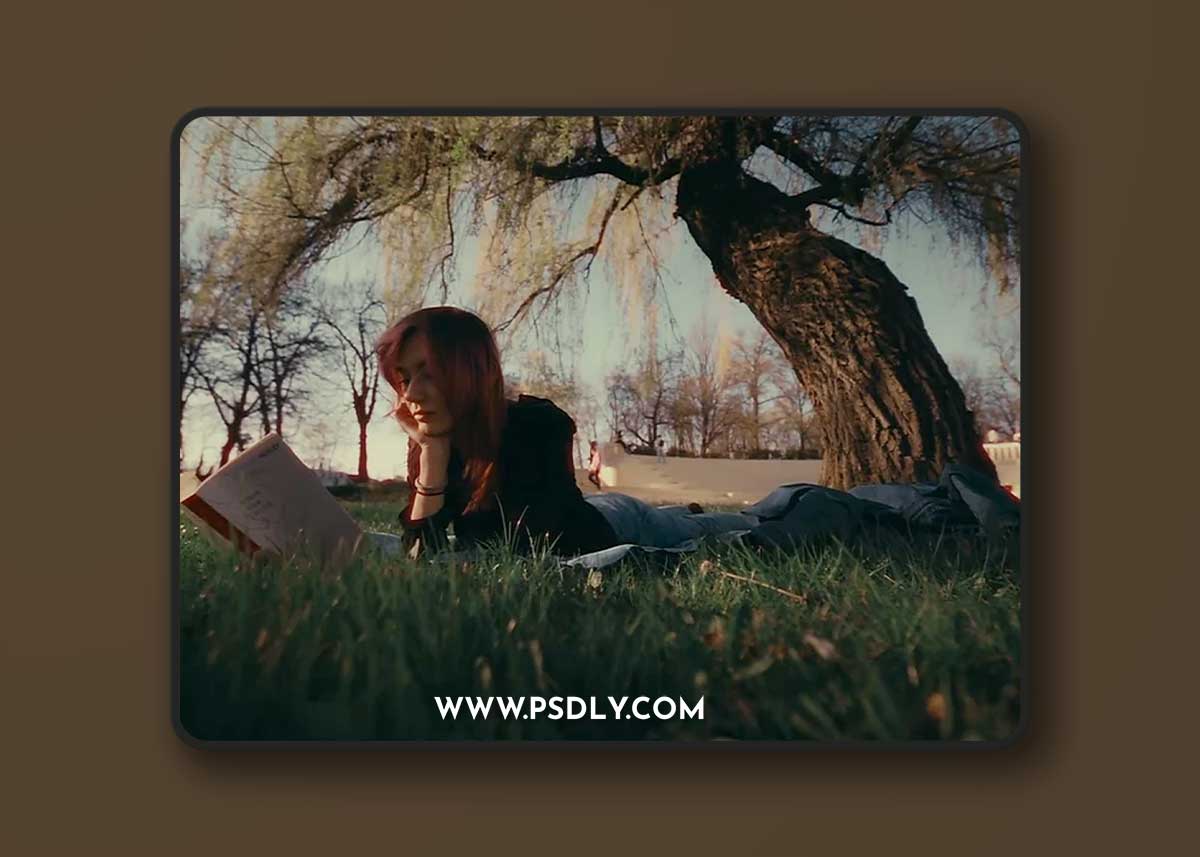 Davinci Resolve - Super 8mm Home Film Emulation Power Grades