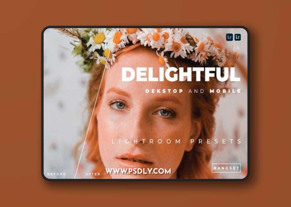 Delightful Lightroom Presets