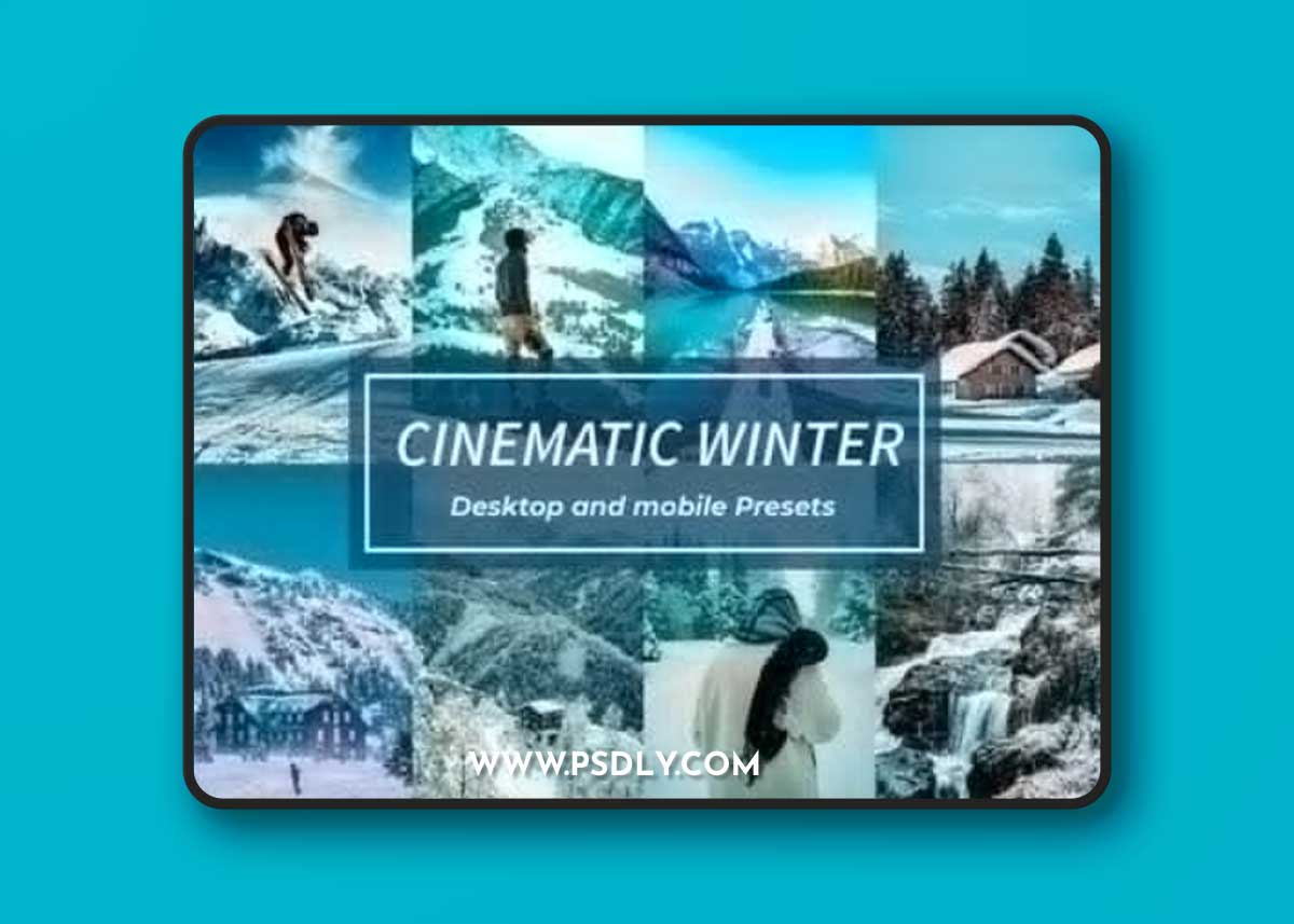 Lightroom Presets Bundles