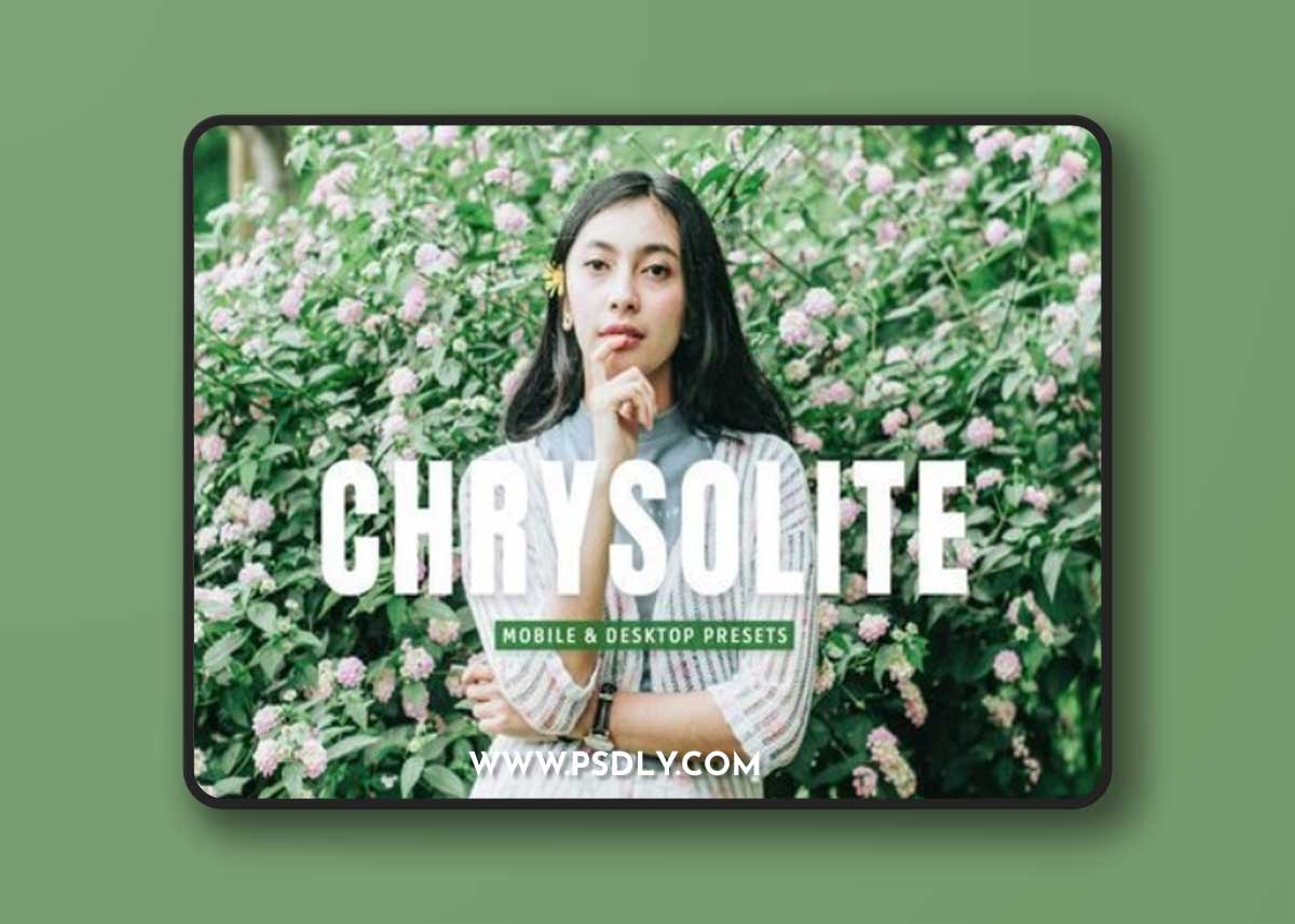 Pro Lightroom Presets Bundles