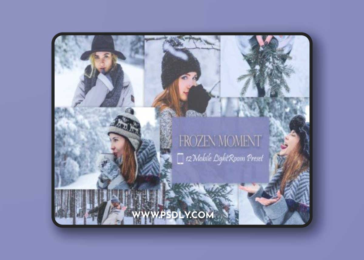 12 Mobile Lightroom, Frozen Moment