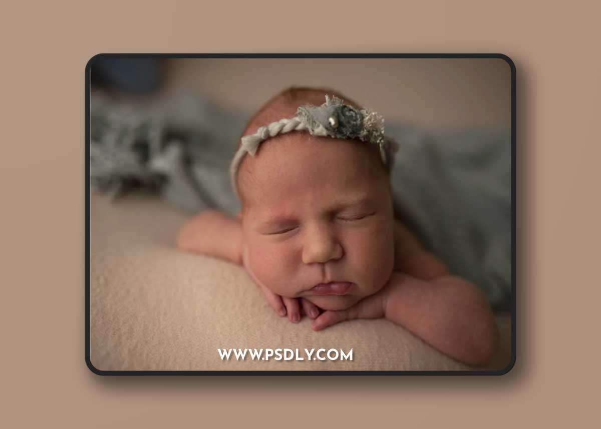 Appleseed Studio Preset Collection