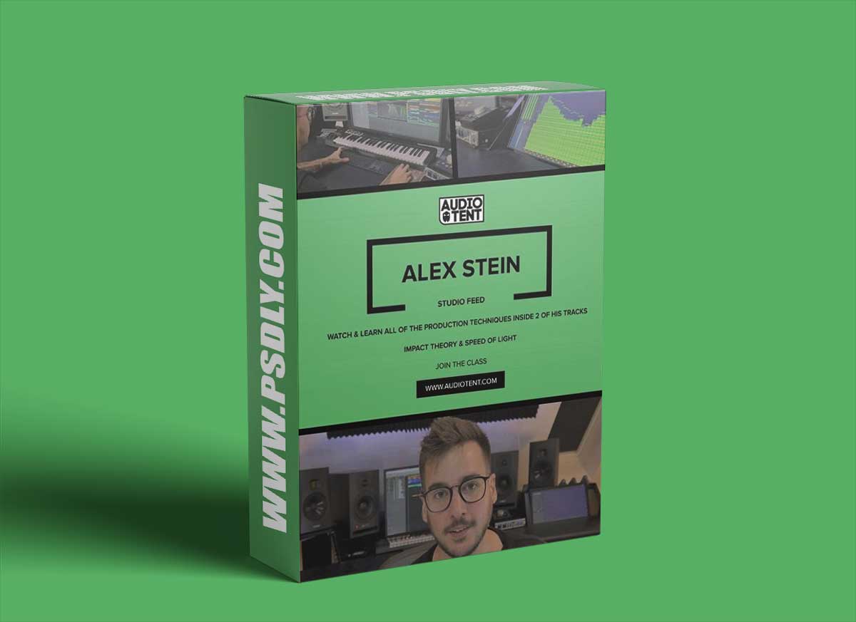 Audiotent Studio Feed Alex Stein Course