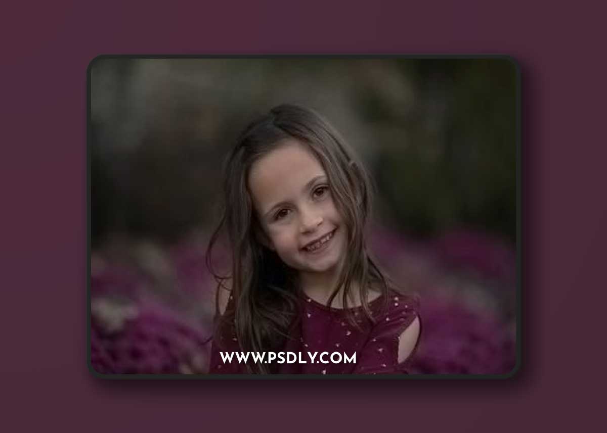 Lemon and Lace Presets - Pink Frost