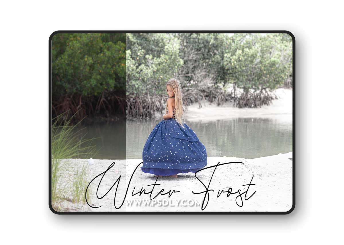 Sweet Soul Studio - Winter Frost Action