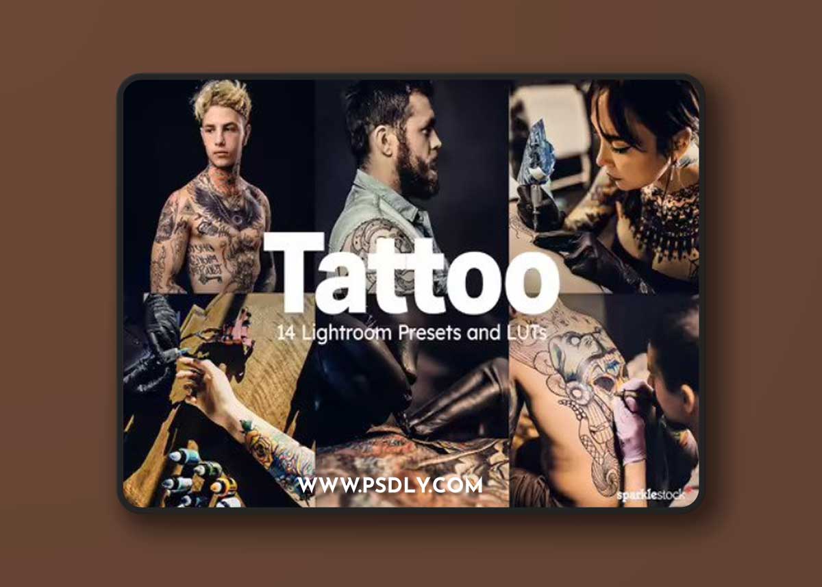 14 Tattoo Lightroom Presets and LUTs