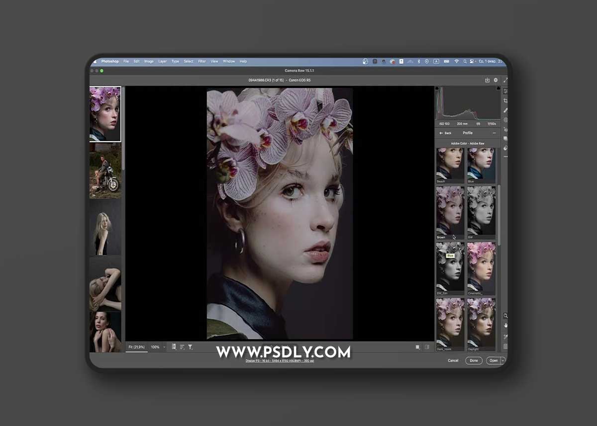 ANNA KORZOVA - KORZOVA PROFILES #1 (2023)