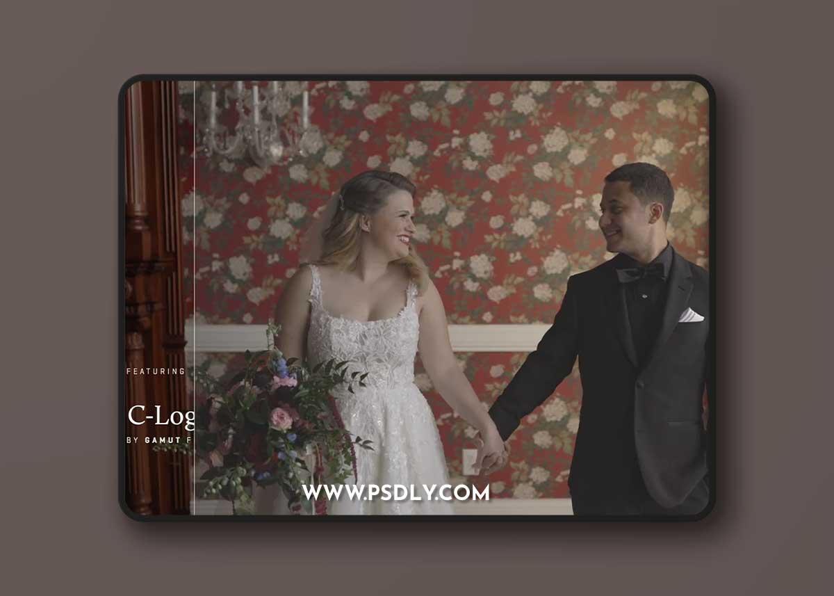 Gamut – Canon Conversion LUTs for C-Log / C-Log 3