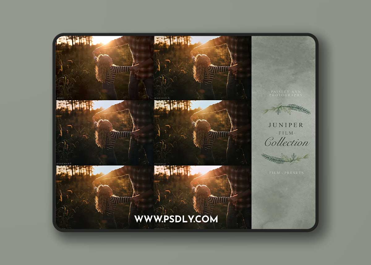 LIGHTROOM Presets - Paisley Ann Photography - JUNIPER FILM COLLECTION