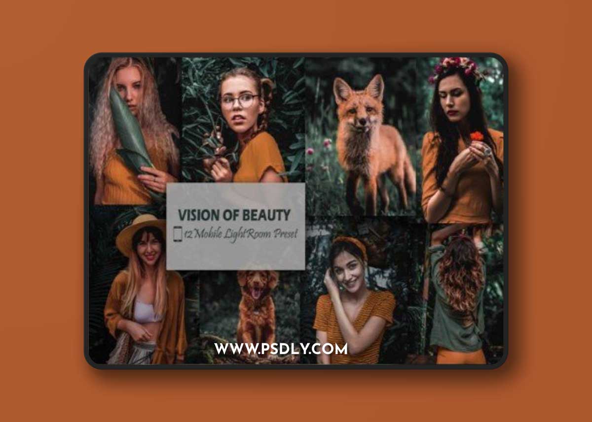 12 Mobile Lightroom, Vision of Beauty