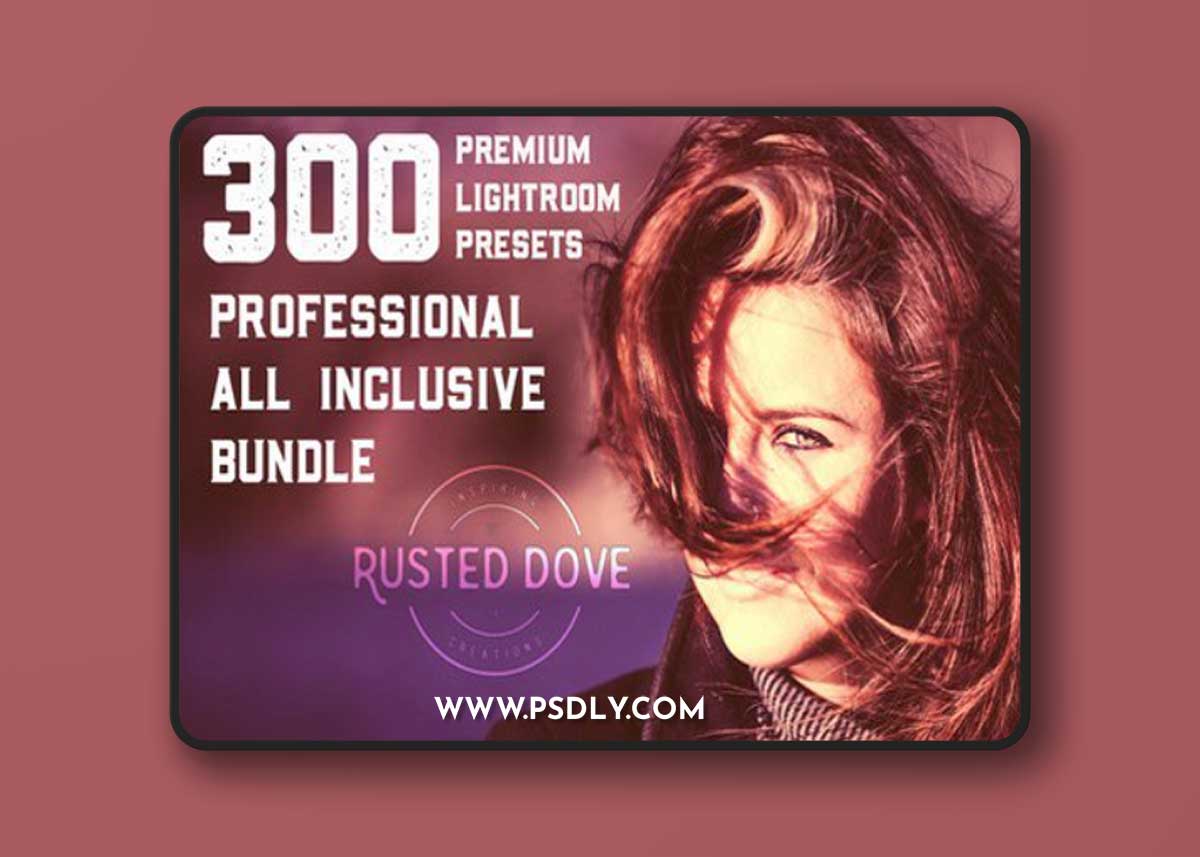 300 Professional Lightroom Presets