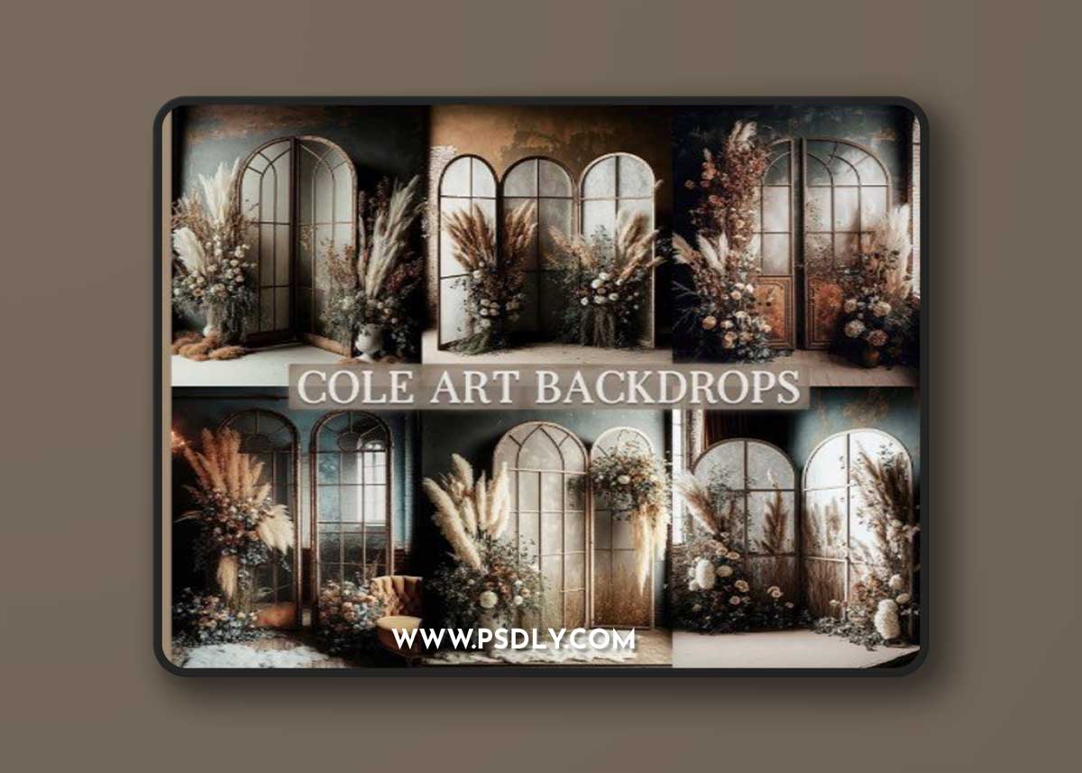 Boho Rustic Set Digital Backdrops, Maternity Backdrop Overlays, Studio Backdrop Overlays, Fine Art Textures, Photoshop Overlays