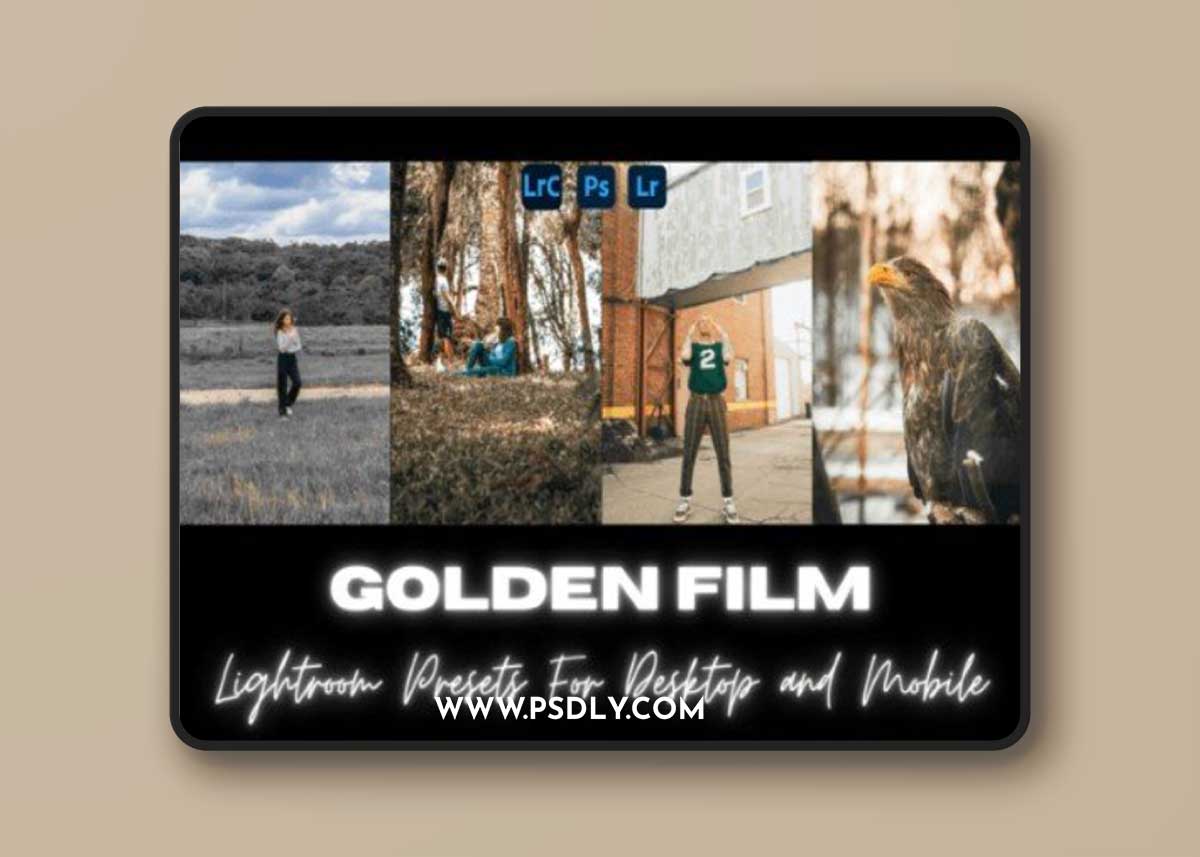 Golden Film Pro Lightroom Presets