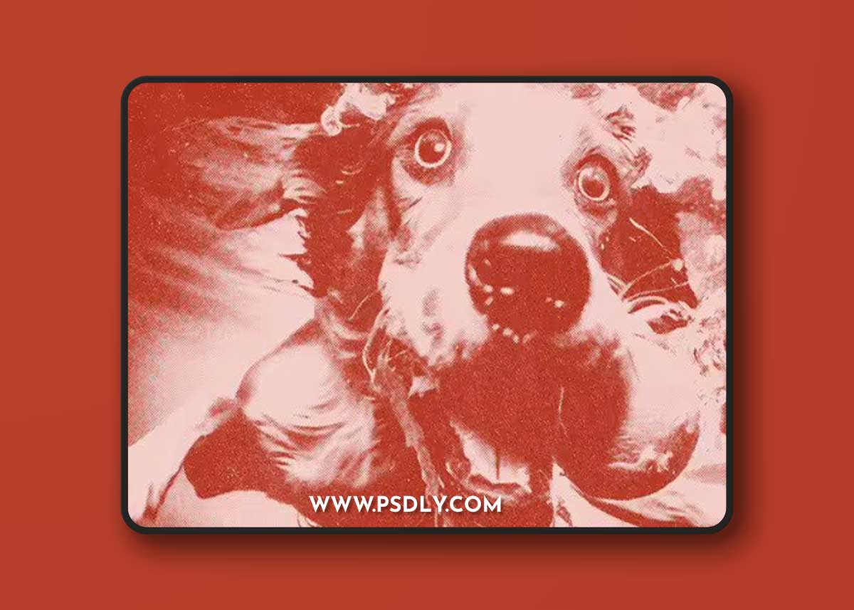 Halftone Retro Magazine Photo Effect