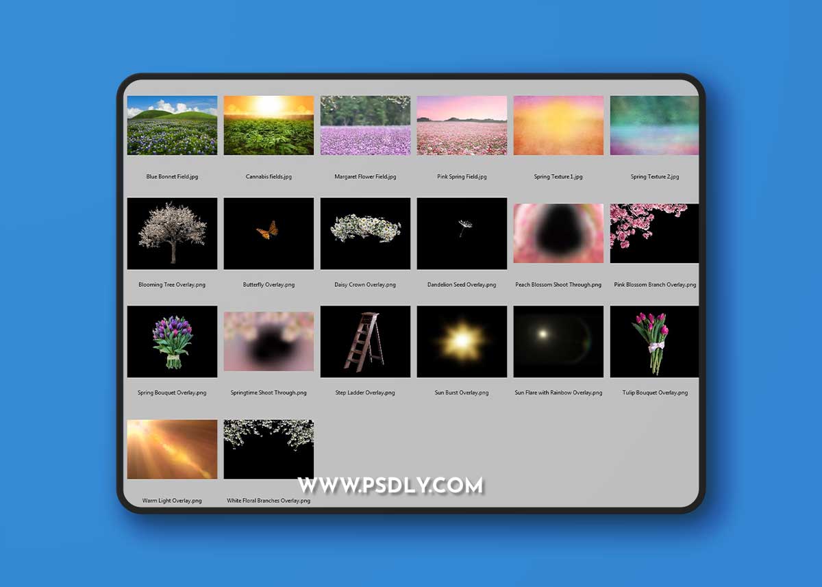 MegbittonProductions - Spring Kit