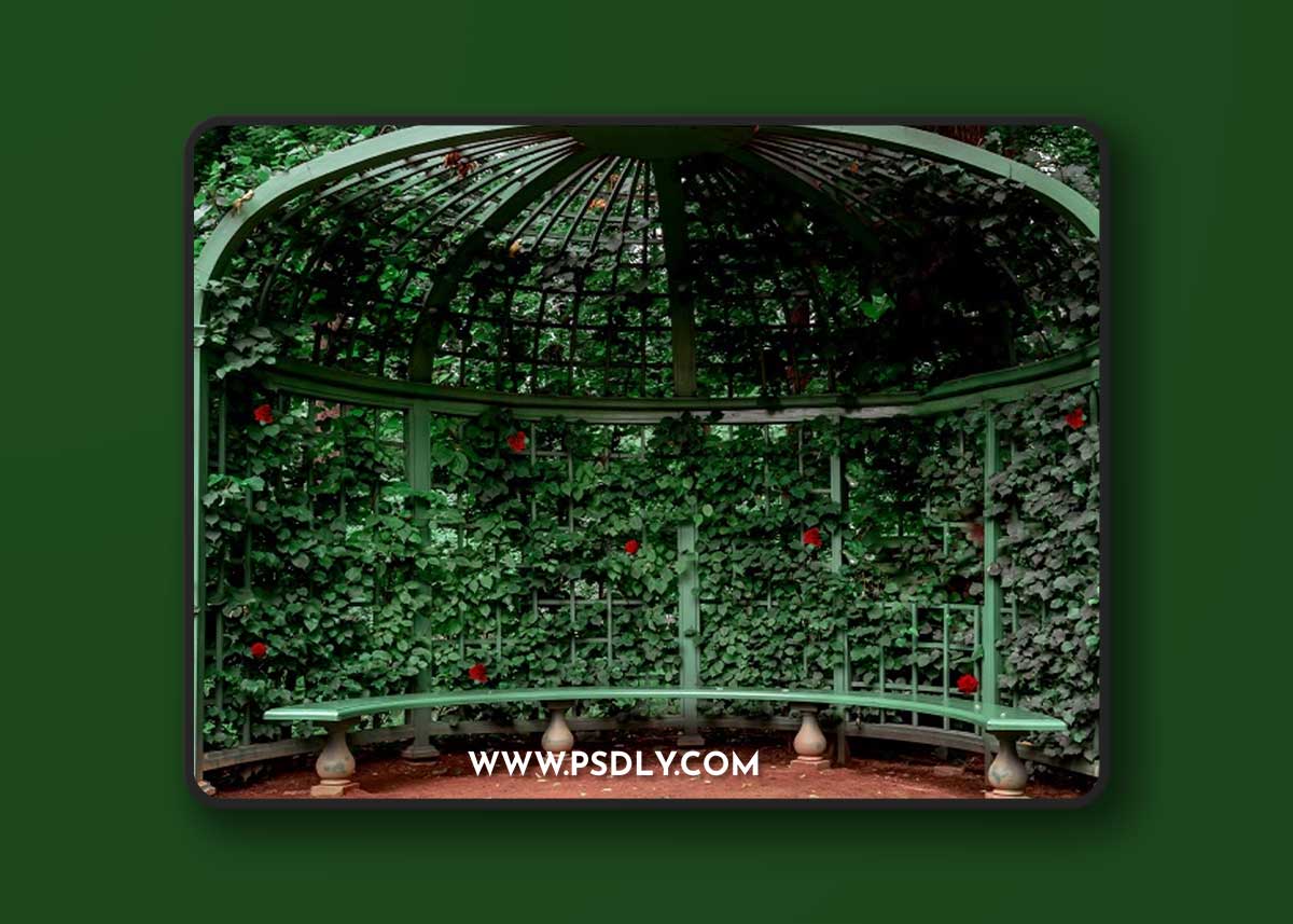 Rose Gazebo Background