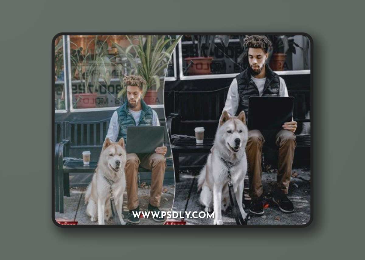 Black Tones Portrait Actions and Presets