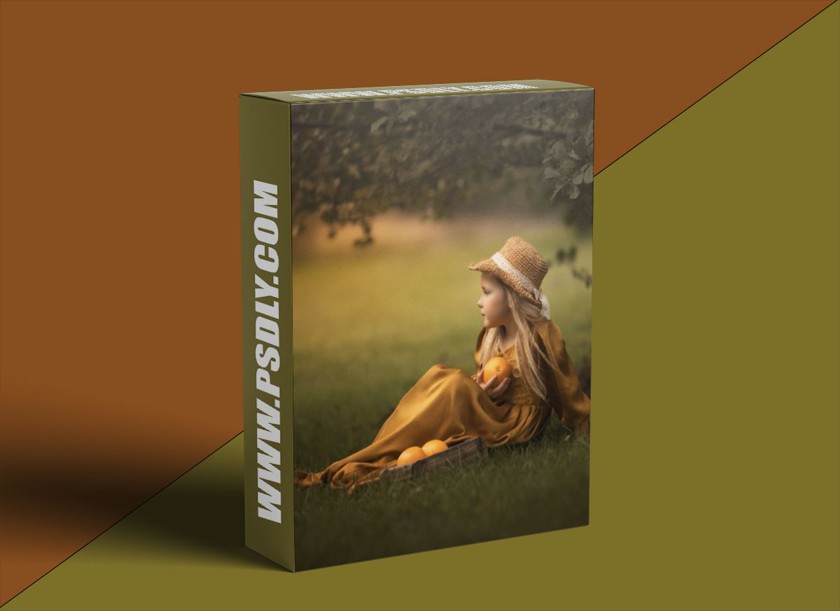 Focus with CA Neil - Golden Tones Outdoor Tutorial