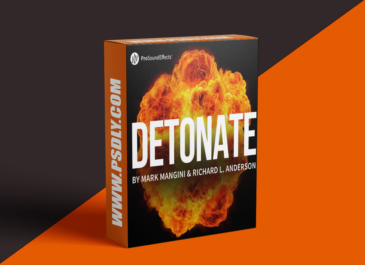 Pro Sound Effects : Detonate Stereo