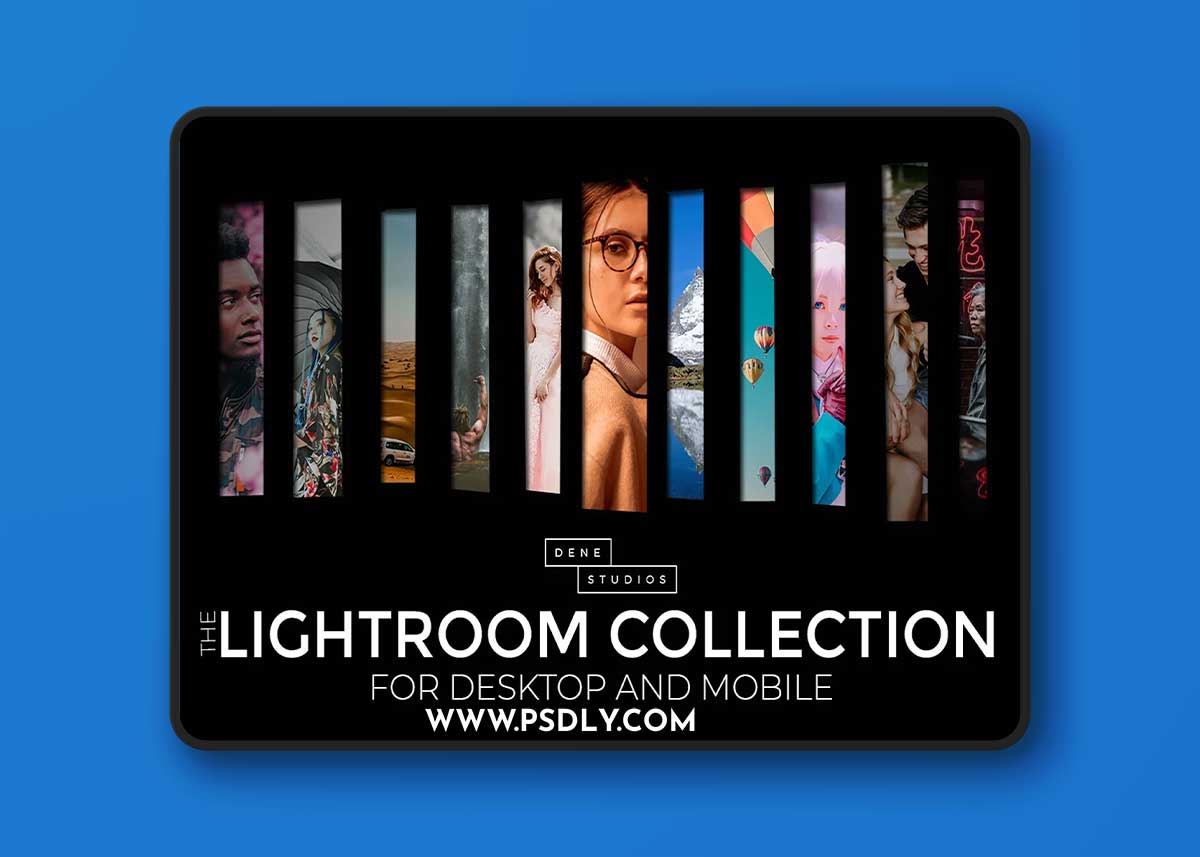The Lightroom Collection By Dene Studios