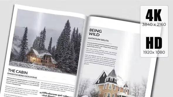 Videohive Book Teaser 44532029