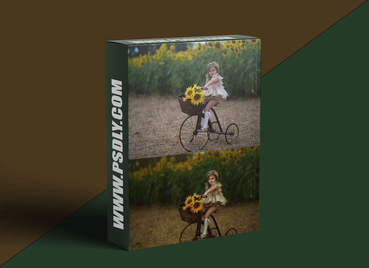 Djeirana Photography - Sunflower Edit