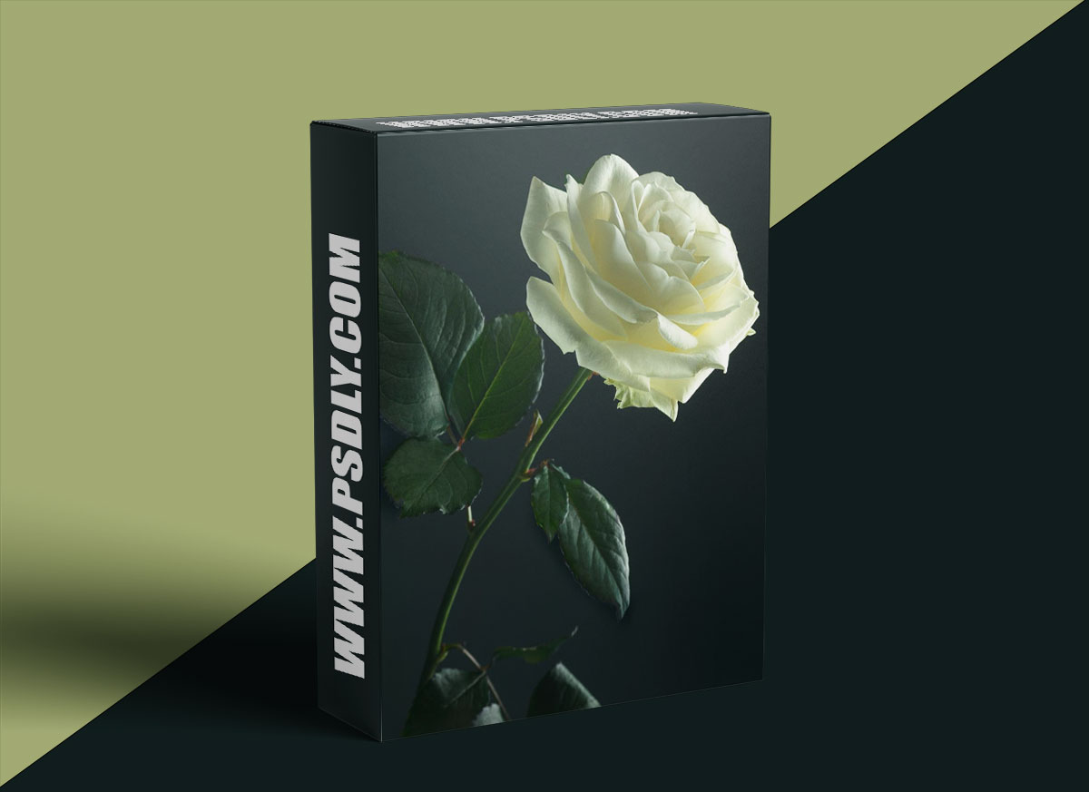 Karl Taylor Photography - Floral Fine Art Photography