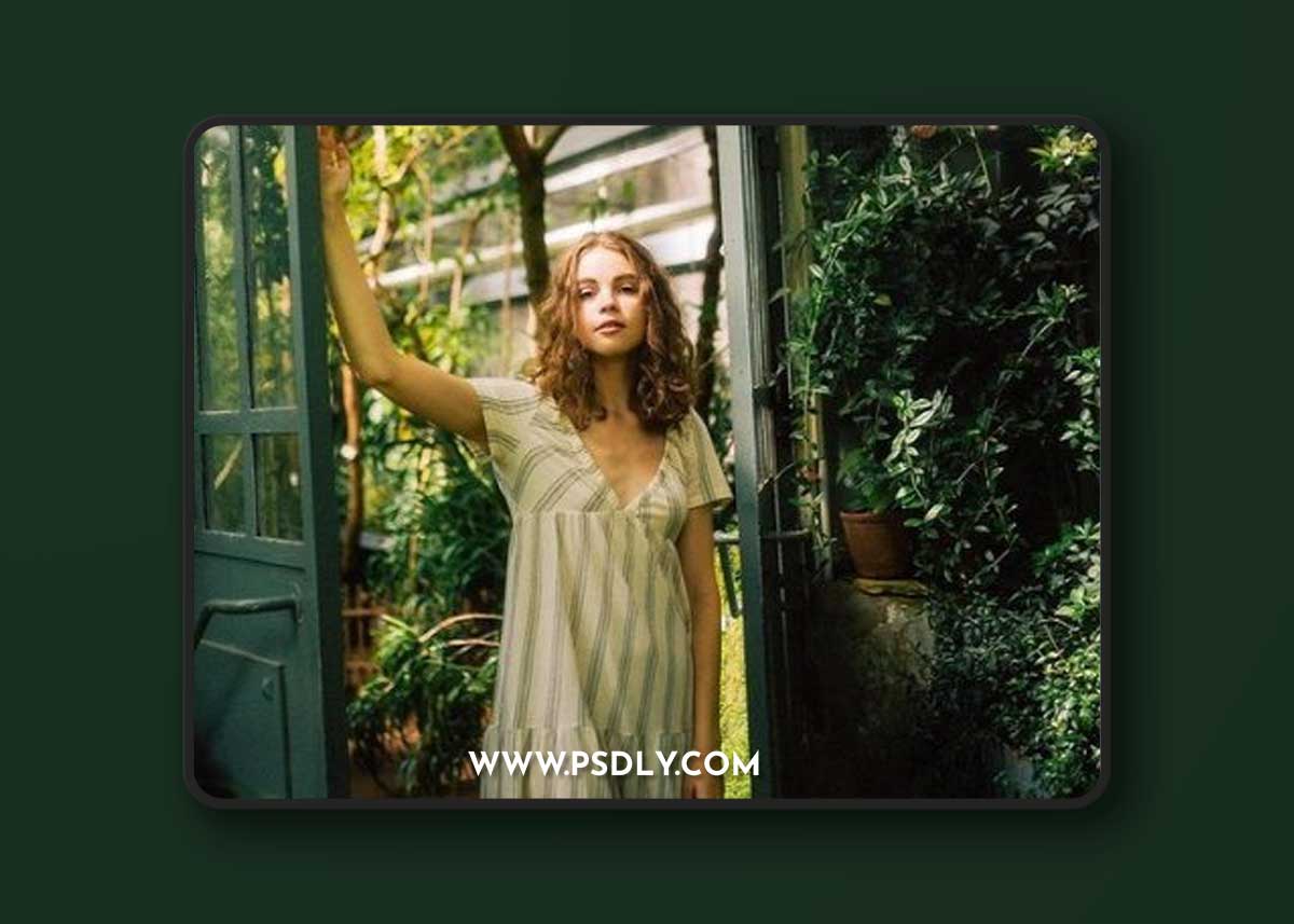 Koleso Sobaki - Presets