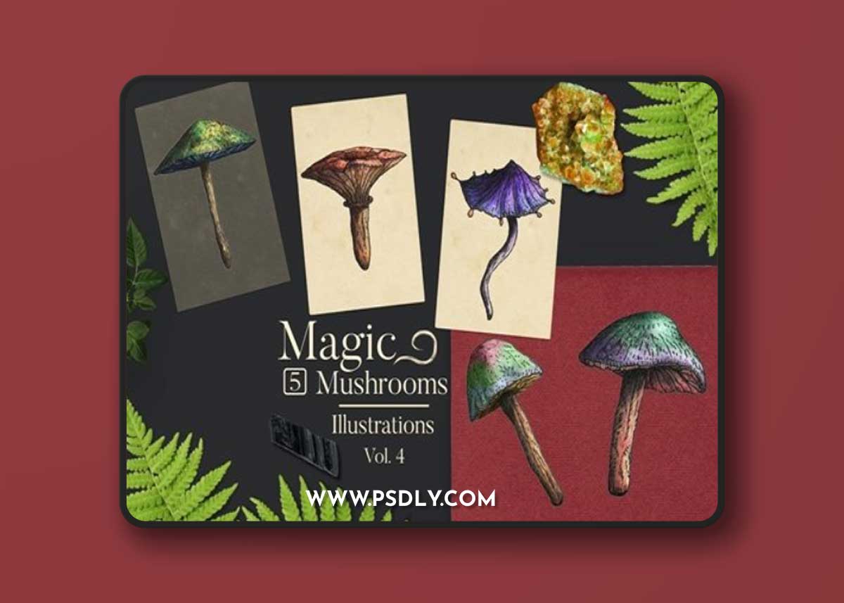 Magic Mushrooms Illustrations 4 4BUJLN3