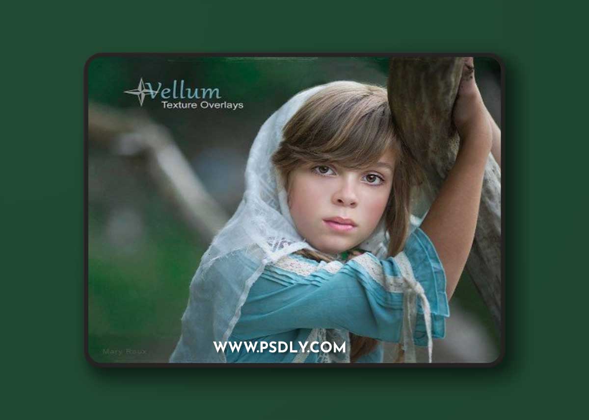 Portrait Pizzaz - Vellum Texture Overlays