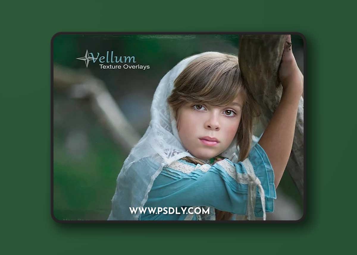 Portrait Pizzaz: Vellum Texture Overlays