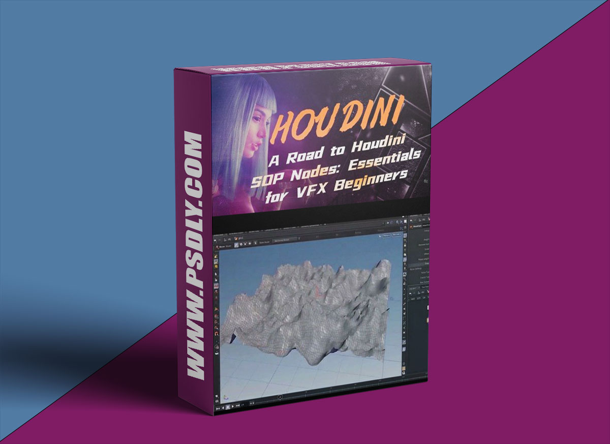 Wingfox – A Road to Houdini SOP Nodes - Essentials for VFX Beginners with Sun Yefei