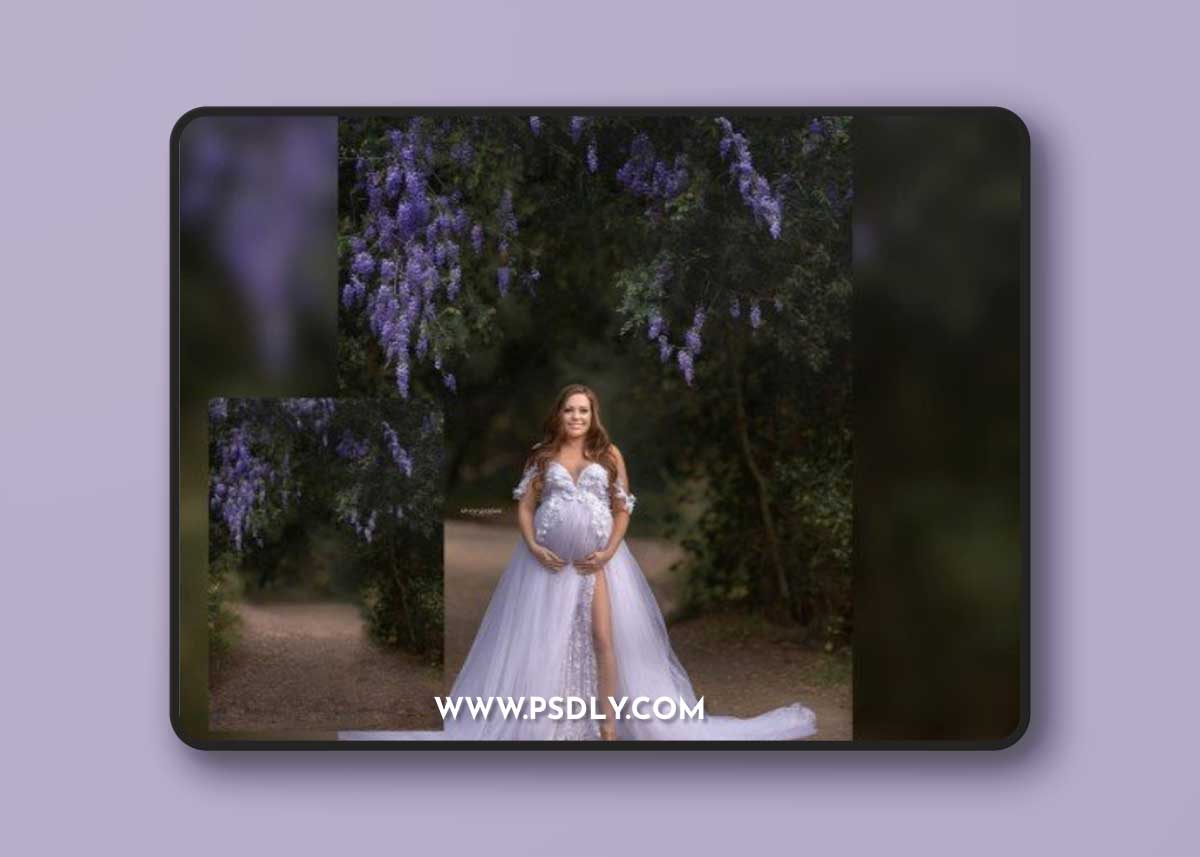 Wisteria Digital Backgrounds