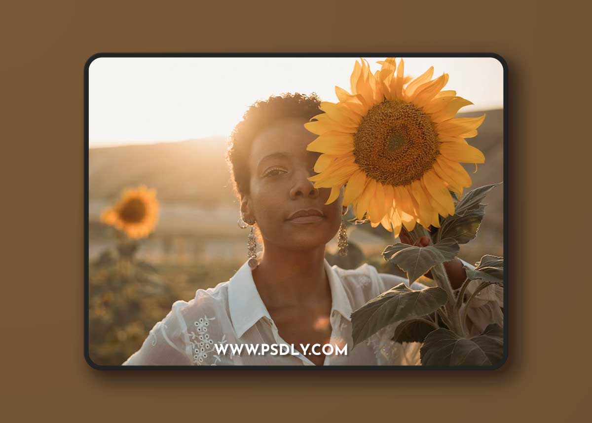 Meridian - Jyotsna Bhamidipati - Terra