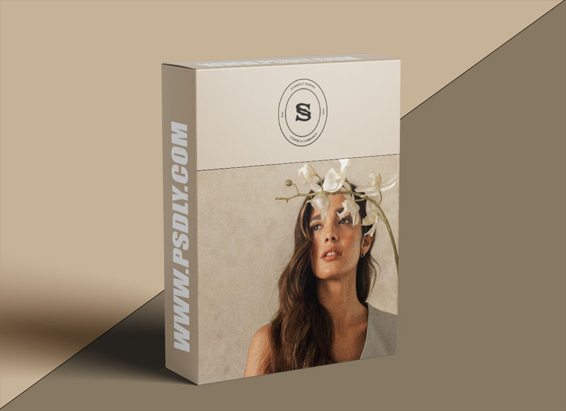 Rache Standout Shopify Download