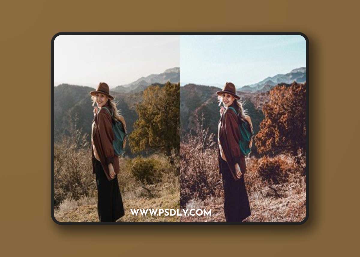 Spring Brown Tone Lightroom Presets 85G2XUZ
