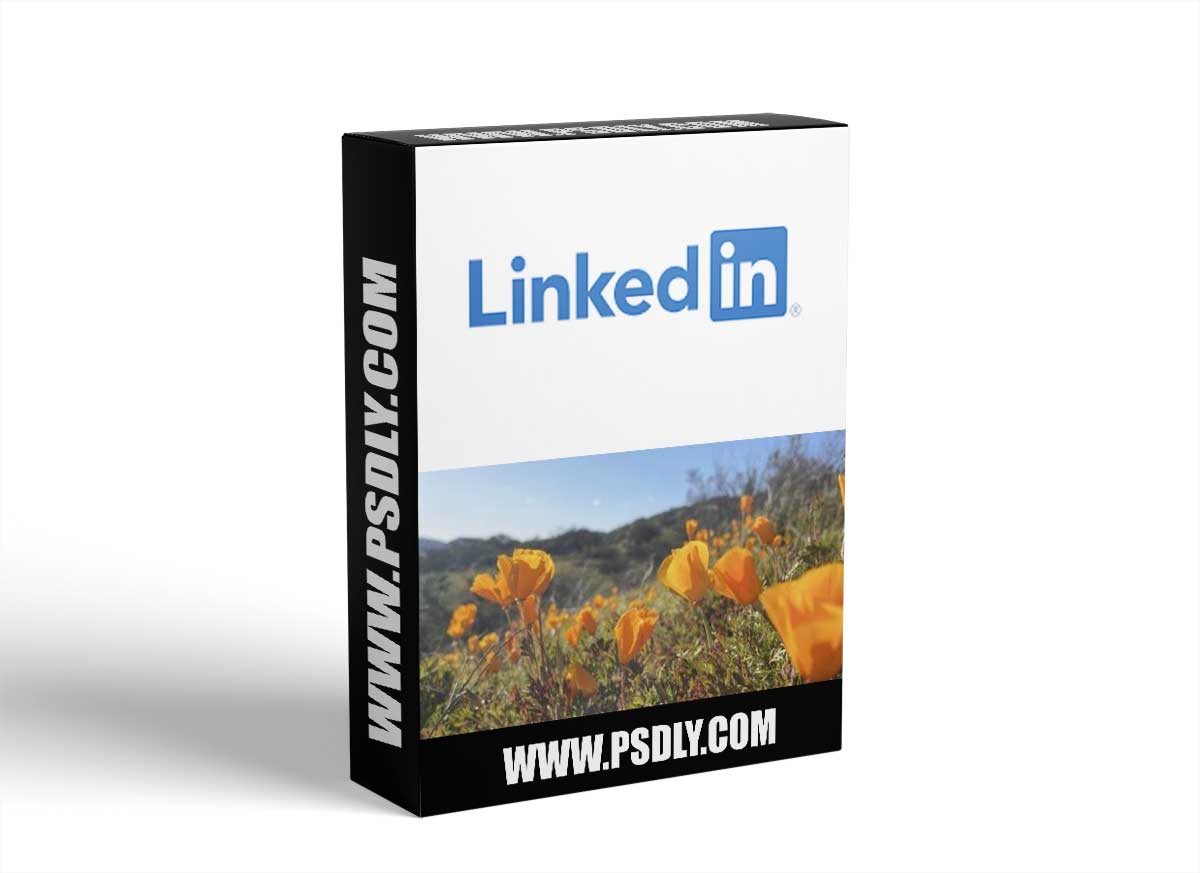 Taking Great Photos with Your Phone