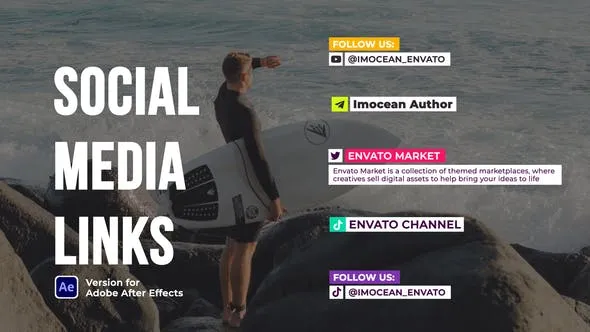 Videohive Social Networks Links 46158520