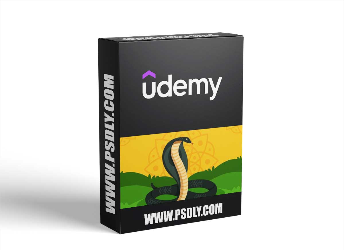 500+ Python Exercises: Practical Python Challenges 2023