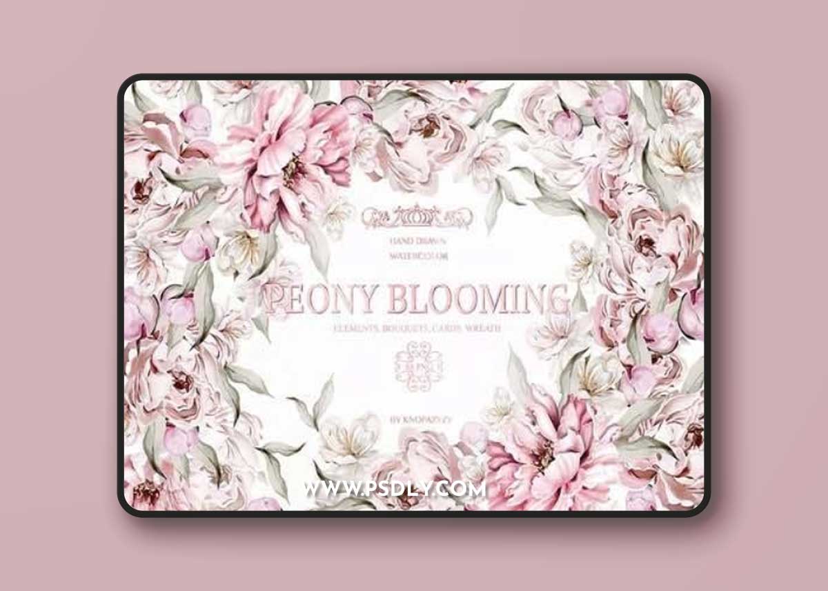 Blooming Peony Flowers