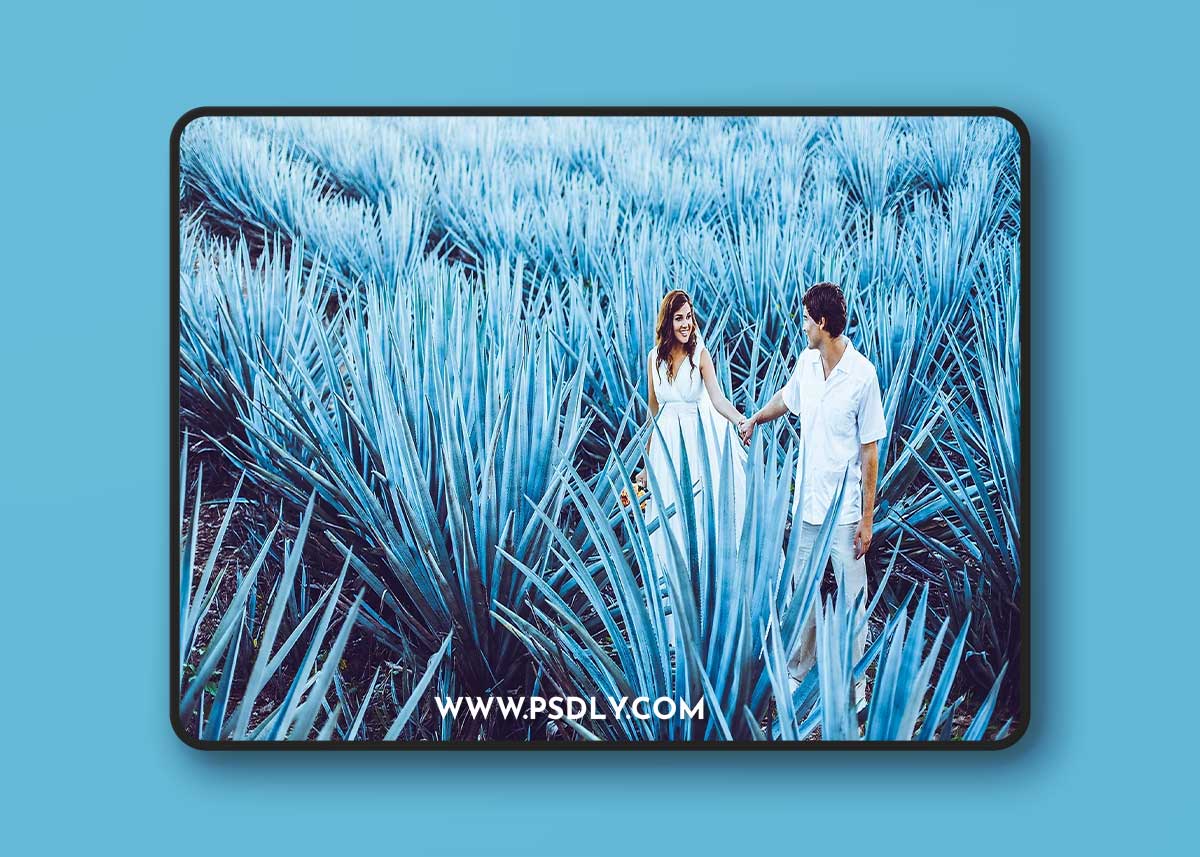 LooK Filter - I DO Presets