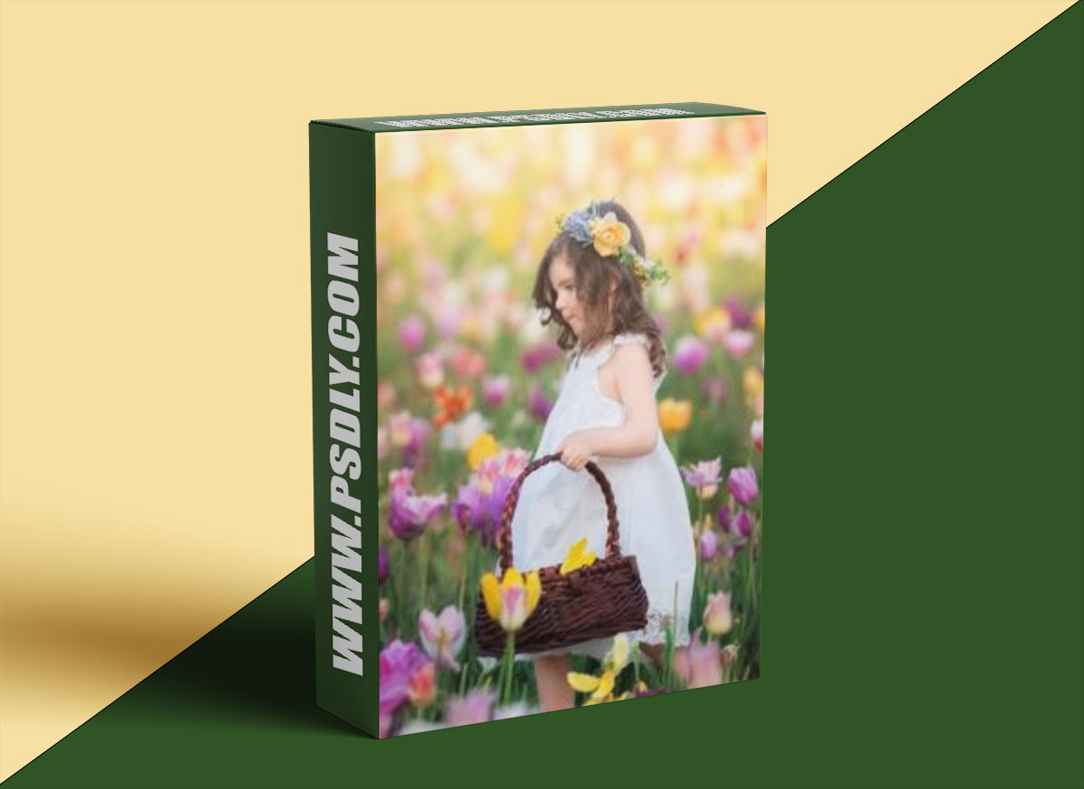 Sandra Bianco - Art of Editing