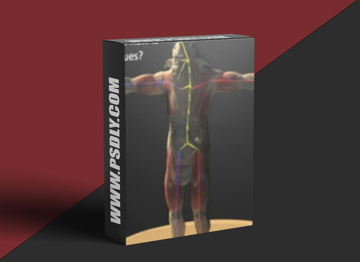 cmiVFX - Creature Creator Handbook Series Featuring Simon Payne