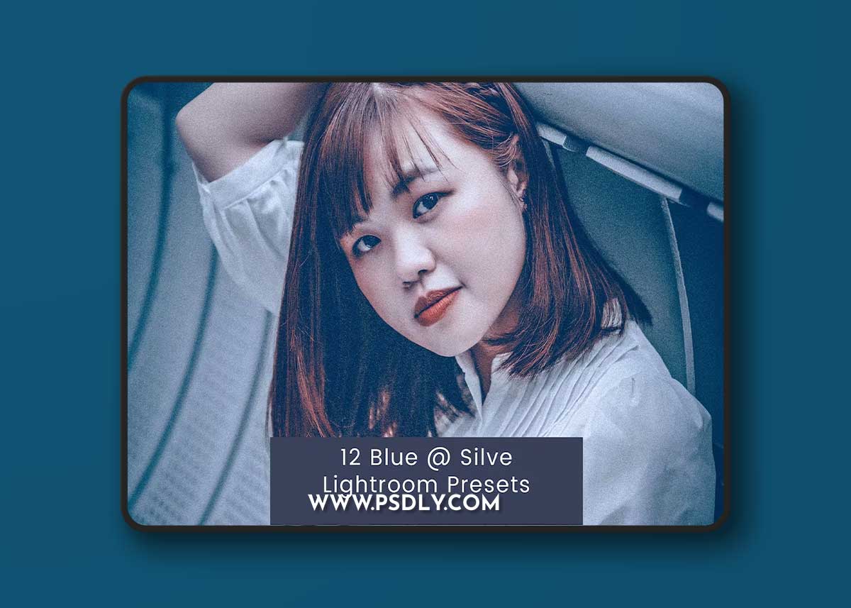 12 Blue and Silve Lightroom Presets N7NC5KN