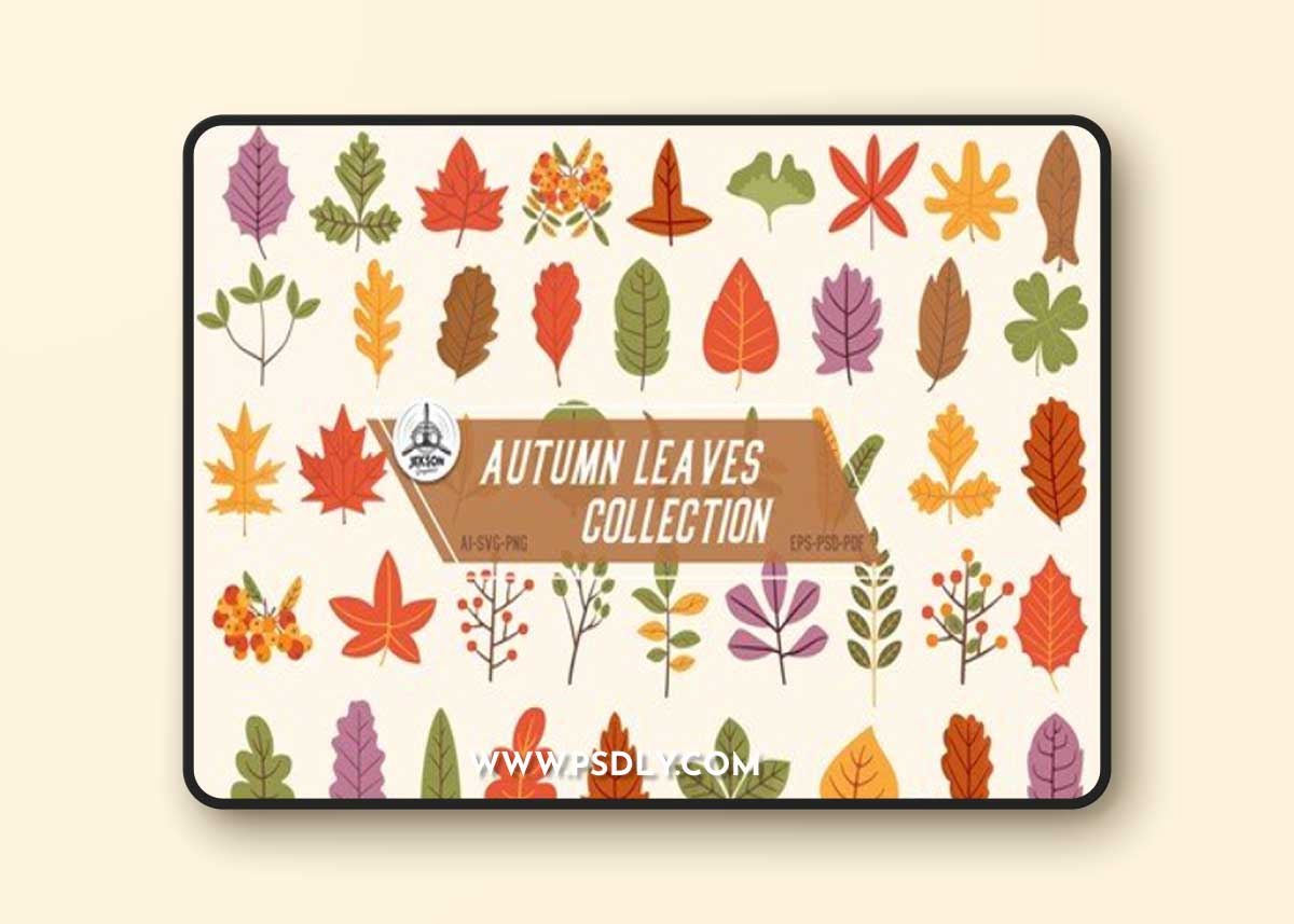 Autumn Leaves Vector Elements. Fall Clipart Set TNY87P3