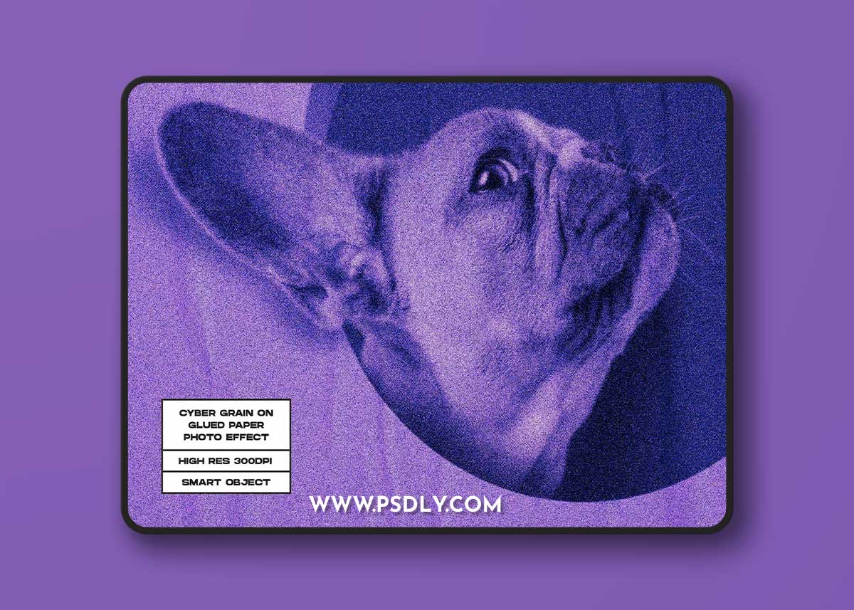 Cyber Grain on Glued Paper Photo Effect DAEEYXL