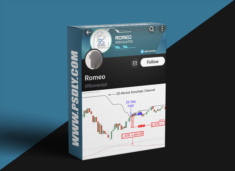 ICT Trader Romeo Turtle Soup Course Download